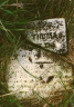 isaac-thomas-sr-grave-photo